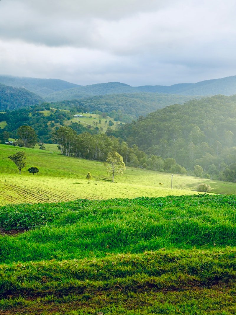 Bölgesel Teşvikler ve Avantajları Bölgesel Teşvikler ve Avantajları